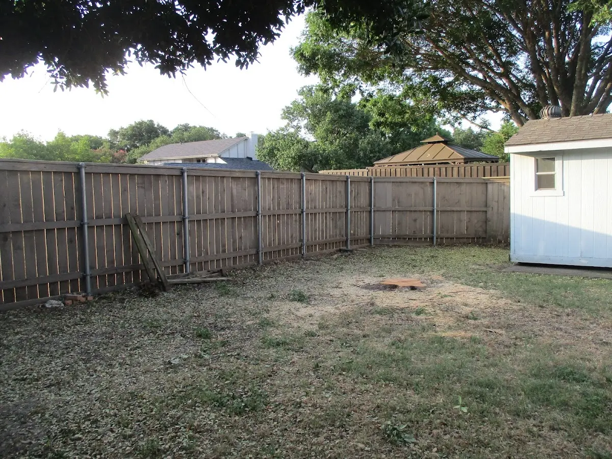 Cleared yard after professional tree removal in Schellsburg